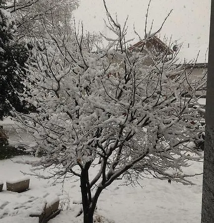 Casa de hóspedes Valchiavenna - Foresteria Lombarda Con Parcheggio Privato Sul Posto! Apprezzata Gestione Familiare Dal 2012, Qualita-prezzo Top! 