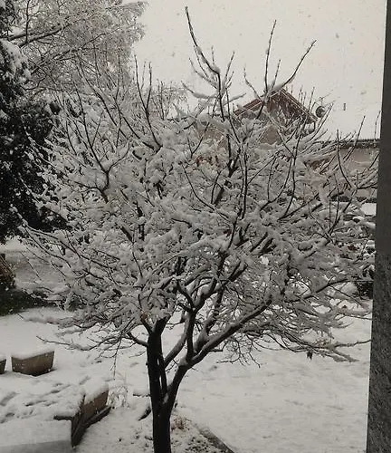Гостевой дом Valchiavenna